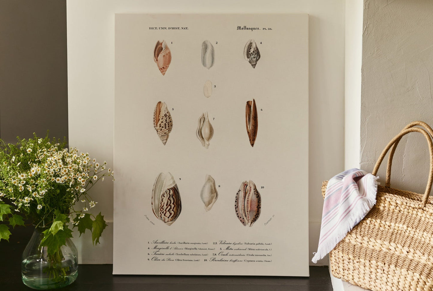 Nautical Jewels, Poster