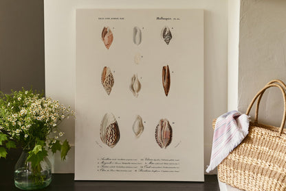 Nautical Jewels, Poster